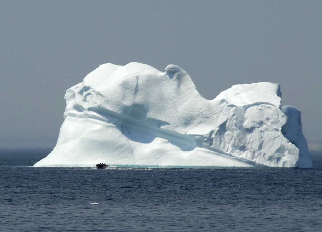 Eisberge vor der Haustür