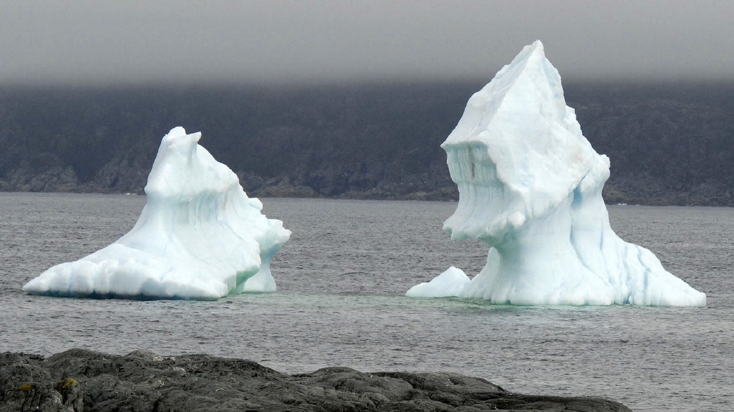 Treibende Eisberge
